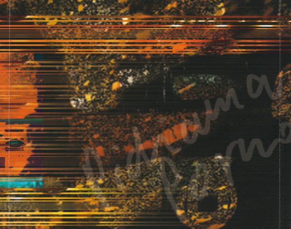 flufi's profile banner