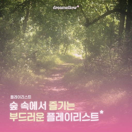 숲 속에서 즐기는 부드러운 플레이리스트