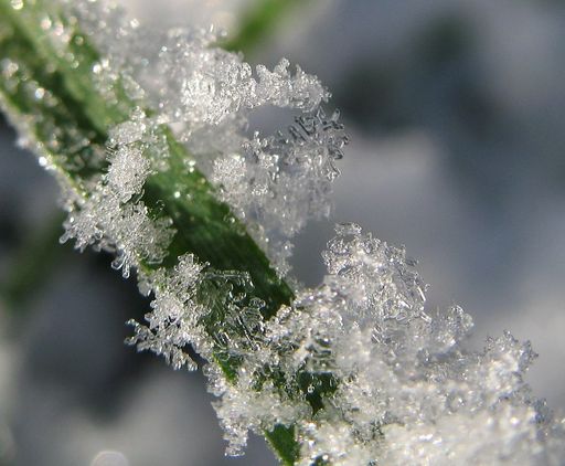 christmas snowflakes
